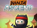 Spel Ninja Stijging online