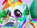 Spel Regenboog Pony Verzorging online