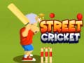 Spel Straatcricket online