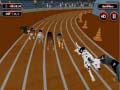 Spel Extreme Hond Racing Koorts online