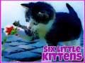 Spel Zes kleine kitten online