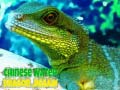 Spel Chinese Water Dragon Puzzel online