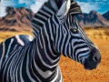 Spel Zebra jager online