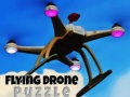 Spel Vliegend Drone Puzzel online