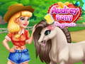 Spel Audrey Pony Kinderopvang online