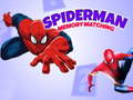 Spel Spiderman Geheugen Spel online