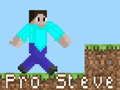 Spel Pro Steve online