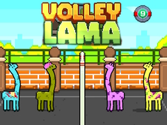 Spel Volley Lama online