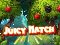 Spel Sappige Match online