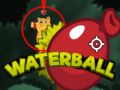 Spel Waterbal online