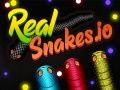 Spel Echte Slangen.io online