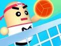 Spel Verbazingwekkende Volleybal online
