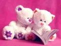 Spel Schattige Teddyberen Glijbaan online