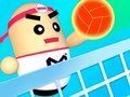 Spel 3D Verbazingwekkende Volleybal online