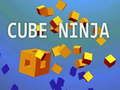 Spel Kubus Ninja online