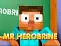 Spel Meneer Herobrine online