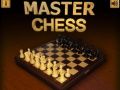 Spel Meester Schaak online