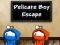 Spel Ontsnapping van de Delicate Jongeman online