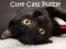 Spel Schattige Katten Puzzel online