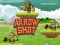 Spel Pijl Schot online