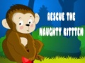 Spel Red de ondeugende kitten online