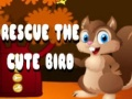 Spel Red de Schattige Vogel online