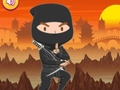 Spel Getrainde Ninja Puzzel online