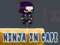 Spel Ninja in Cape online