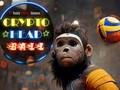 Spel Crypto Hoofd Bal online