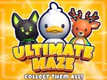 Spel Ultieme Doolhof! Verzamel ze allemaal! online