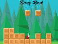 Spel Vogelrace online