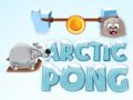 Spel Arctische Pong online
