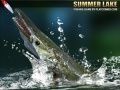 Spel Zomermeer online