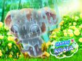 Spel Blije Koala online