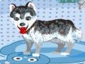 Spel Mijn schattige hond in bad online