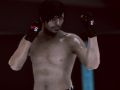 Spel MFS: MMA Vechtpartij online