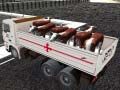 Spel Vrachttransport van huisdieren online