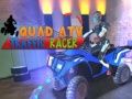 Spel Quad ATV Verkeer Racer online