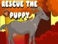 Spel Red de puppy online