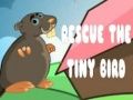 Spel Red de kleine vogel online
