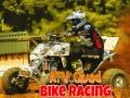 Spel ATV Quad Racing online