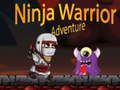 Spel Ninja Krijger Avontuur online
