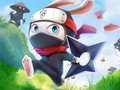 Spel Ninja Konijn online