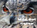 Spel Wild Uil Puzzel online