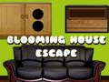 Spel Ontsnapping uit het bloeiende huis online