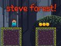Spel Steve Bos online