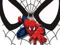 Spel Spiderman Match Kaarten online
