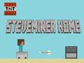 Spel Steveminer Huis online