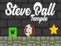 Spel Steve Ball Tempel online