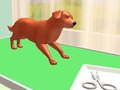 Spel Huisdierverzorging online